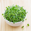 🥦 Broccoli - Waltham 29 Microgreens 2oz package