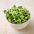 Sunflower - Black Oil Microgreens 2oz Package